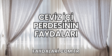 Ceviz İçi Perdesinin Faydaları
