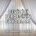 Ceviz İçi Perdesinin Faydaları