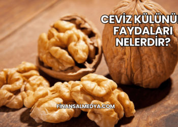 Ceviz Külünün Faydaları Nelerdir?