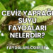 Ceviz Yaprağı Suyu Faydaları Nelerdir?
