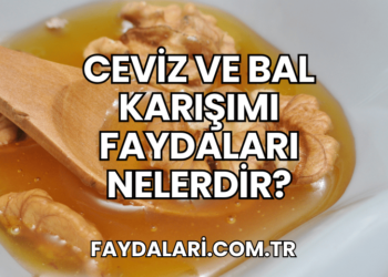 Ceviz ve Bal Karışımı Faydaları Nelerdir?