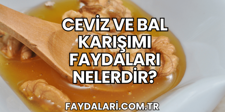 Ceviz ve Bal Karışımı Faydaları Nelerdir?