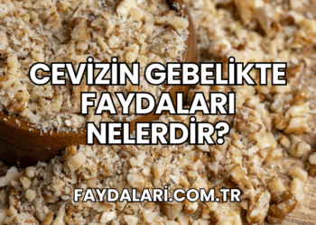 Cevizin Gebelikte Faydaları Nelerdir?