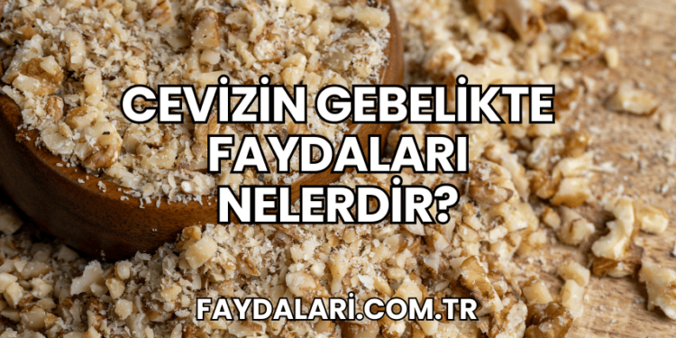 Cevizin Gebelikte Faydaları Nelerdir?
