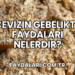 Cevizin Gebelikte Faydaları Nelerdir?