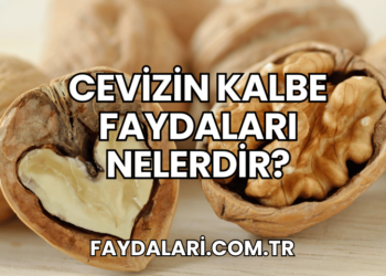 Cevizin Kalbe Faydaları Nelerdir?