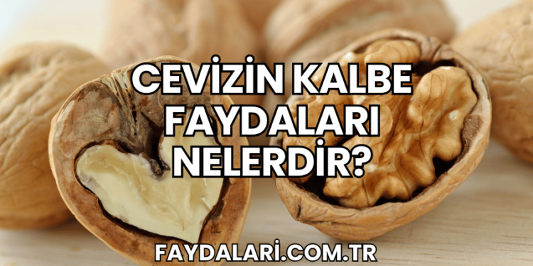 Cevizin Kalbe Faydaları Nelerdir?