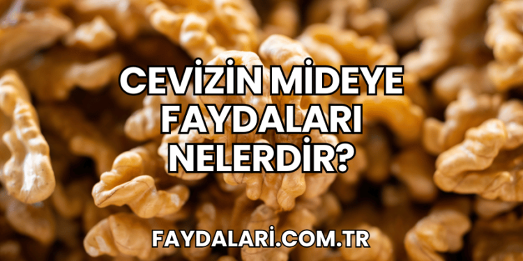 Cevizin Mideye Faydaları Nelerdir?
