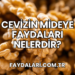 Cevizin Mideye Faydaları Nelerdir?