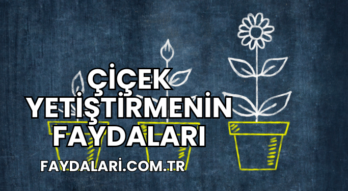 Çiçek Yetiştirmenin Faydaları