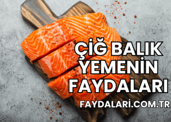 Çiğ Balık Yemenin Faydaları