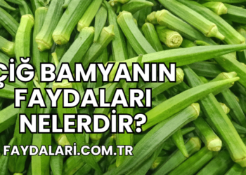 Çiğ Bamyanın Faydaları Nelerdir?