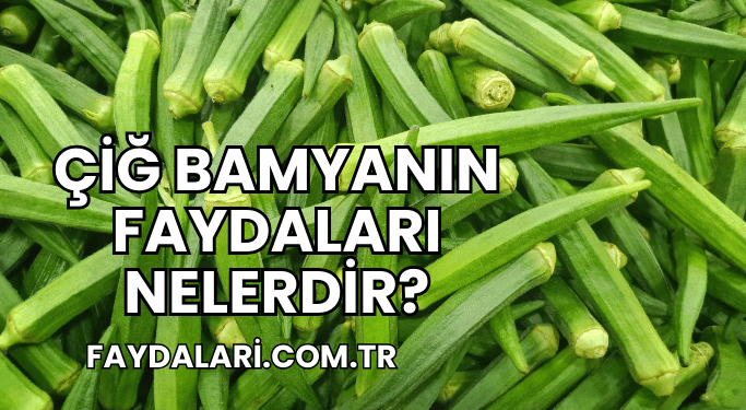 Çiğ Bamyanın Faydaları Nelerdir?