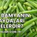 Çiğ Bamyanın Faydaları Nelerdir?
