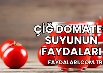 Çiğ Domates Suyunun Faydaları