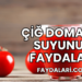 Çiğ Domates Suyunun Faydaları