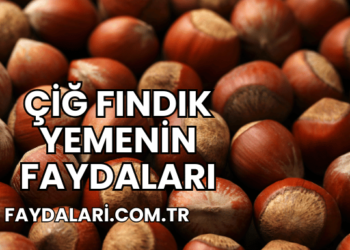 Çiğ Fındık Yemenin Faydaları
