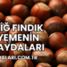 Çiğ Fındık Yemenin Faydaları