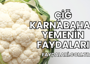 Çiğ Karnabahar Yemenin Faydaları