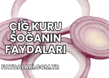 Çiğ Kuru Soğanın Faydaları