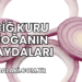 Çiğ Kuru Soğanın Faydaları