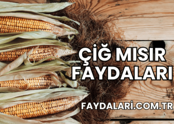 Çiğ Mısır Faydaları