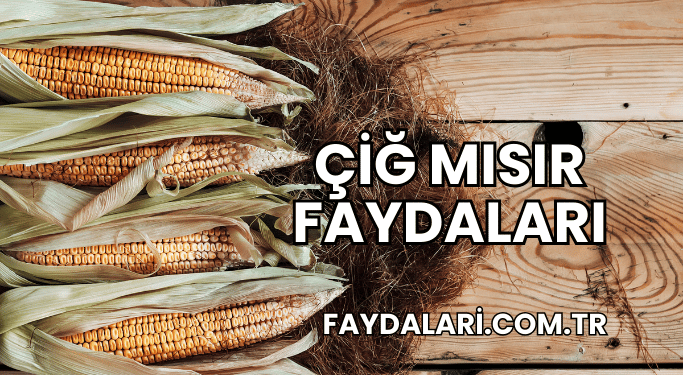 Çiğ Mısır Faydaları