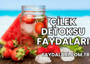 Çilek Detoksu Faydaları