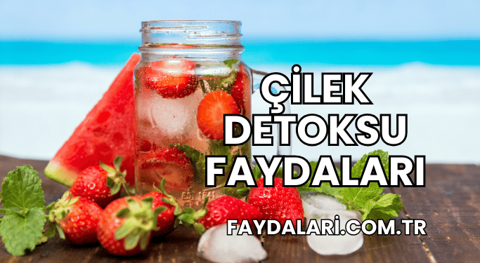 Çilek Detoksu Faydaları