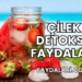 Çilek Detoksu Faydaları