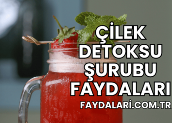 Çilek Detoksu Şurubu Faydaları