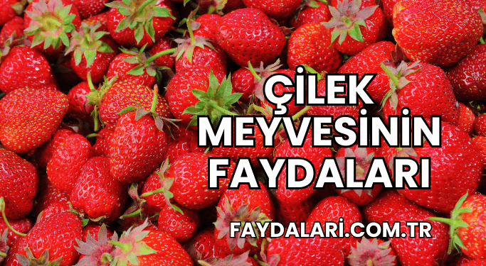 Çilek Meyvesinin Faydaları
