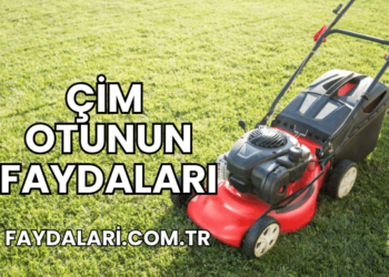 Çim Otunun Faydaları