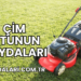 Çim Otunun Faydaları