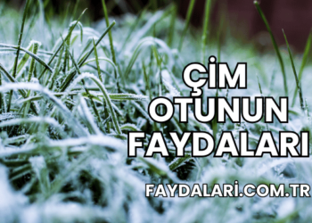 Çim Otunun Faydaları