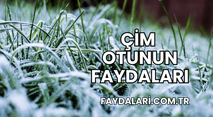 Çim Otunun Faydaları