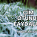 Çim Otunun Faydaları