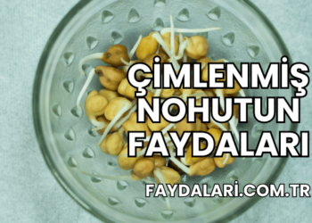 Çimlenmiş Nohutun Faydaları