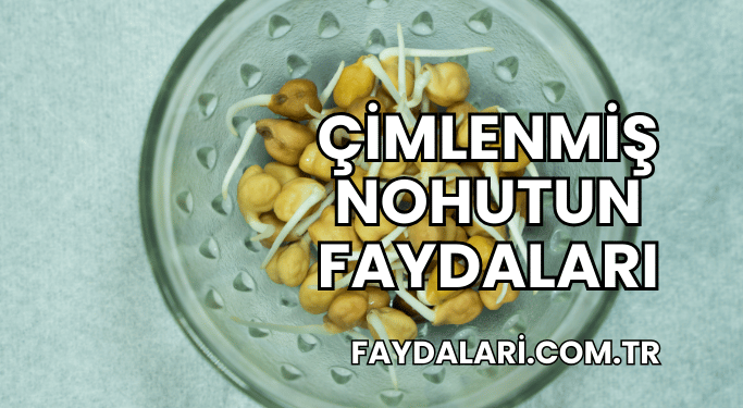 Çimlenmiş Nohutun Faydaları