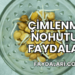 Çimlenmiş Nohutun Faydaları