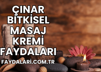 Çınar Bitkisel Masaj Kremi Faydaları