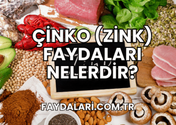 Çinko (Zink) Faydaları Nelerdir?