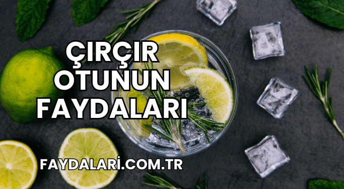 Çırçır Otunun Faydaları