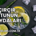 Çırçır Otunun Faydaları