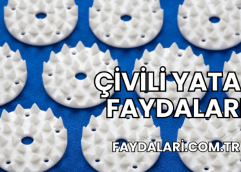 Çivili Yatak Faydaları