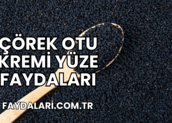 Çörek Otu Kremi Yüze Faydaları
