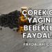 Çörek Otu Yağının Bebeklere Faydaları