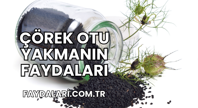 Çörek Otu Yakmanın Faydaları