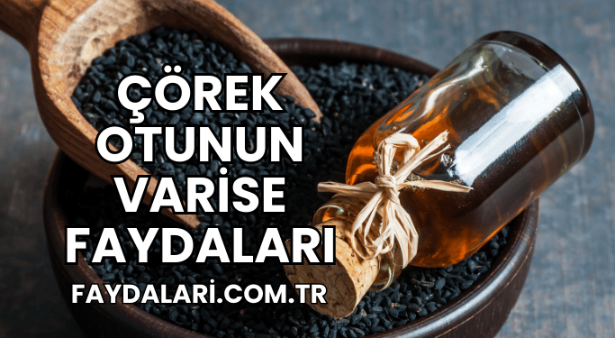 Çörek Otunun Varise Faydaları