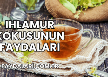 Ihlamur Kokusunun Faydaları